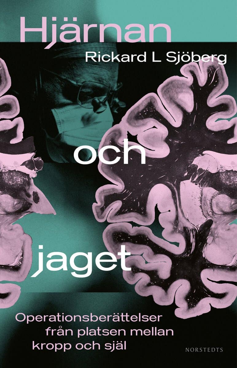 Rickard L. Sjöberg : Hjärnan och jaget : operationsberättelser från platsen mellan kropp och själ