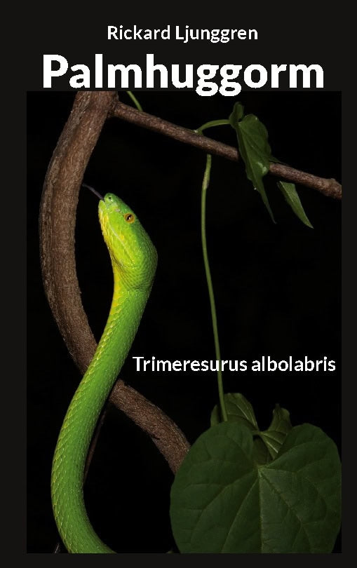 Rickard Ljunggren : Palmhuggorm : Trimeresurus albolabris