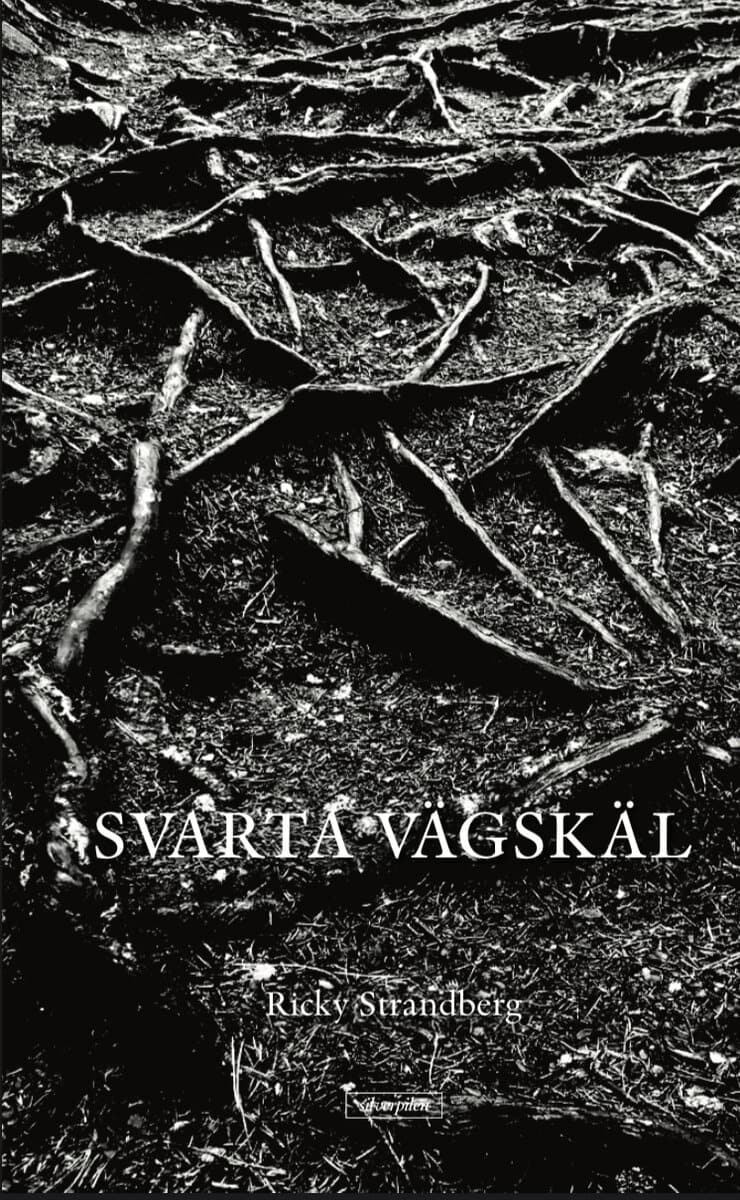 Ricky Strandberg : Svarta vägskäl