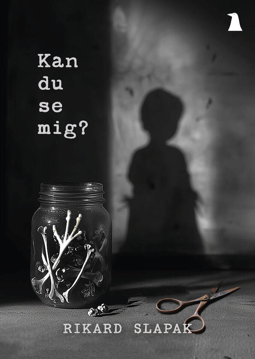 Rikard Slapak : Kan du se mig?