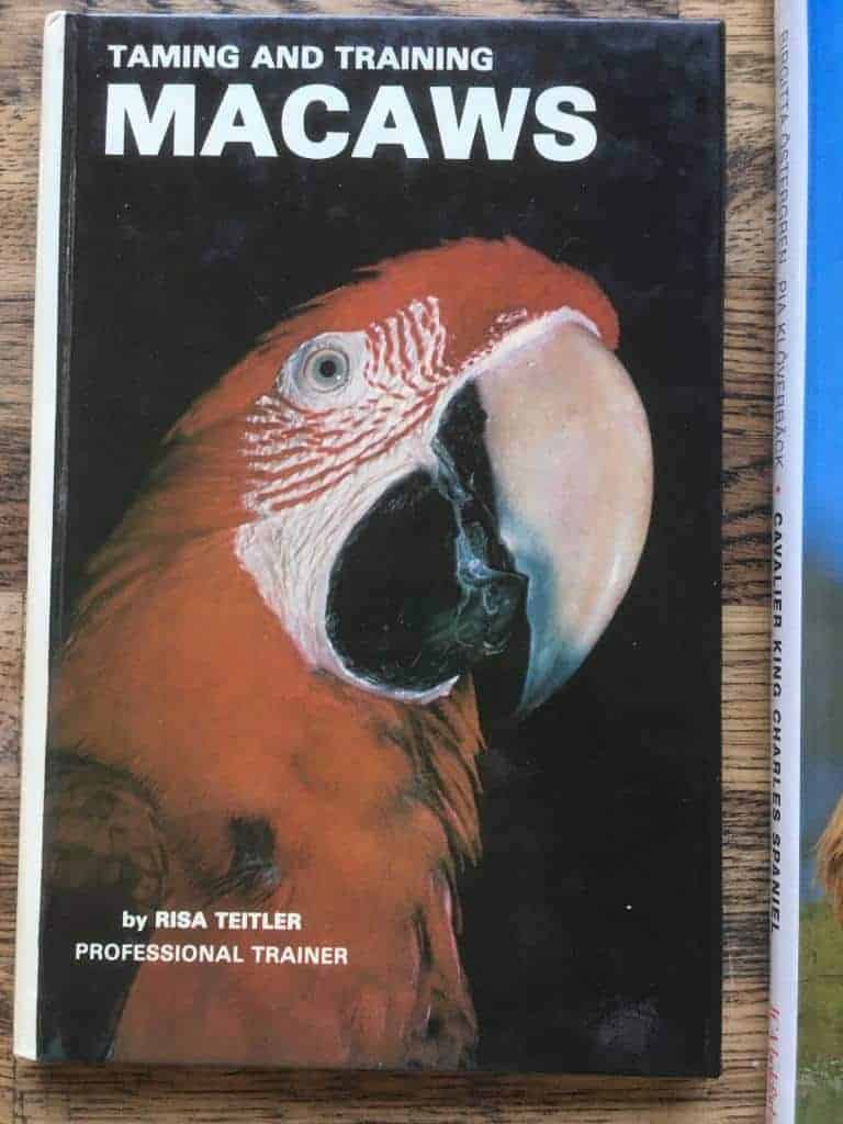 Risa Teitler : Taming and training Macaws