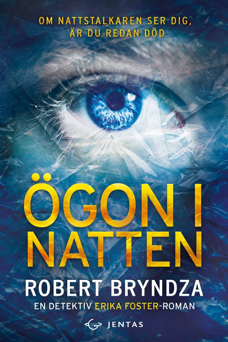 Robert Bryndza : Ögon i natten