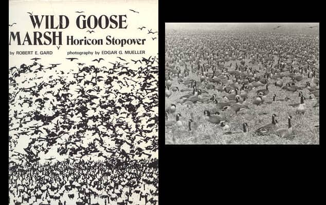 Robert E Gard : Wild Goose Marsh. Horicon Stopover. Photography by Edgar G. Mueller (dedikation)