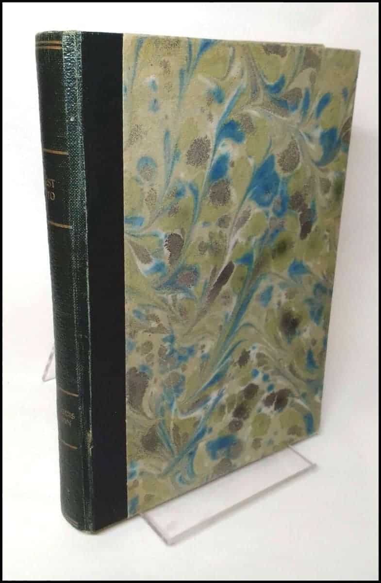 Robert Louis Stevenson : Furst Otto