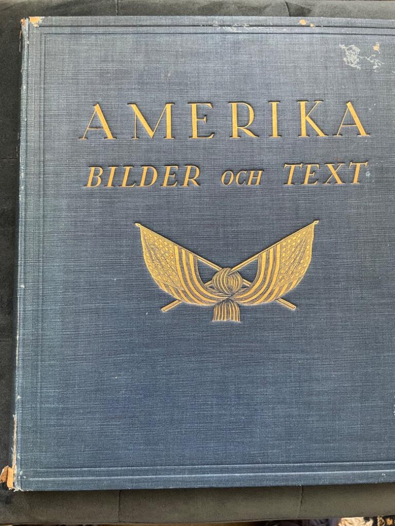 Roger Nielsen : Amerika i bilder och text