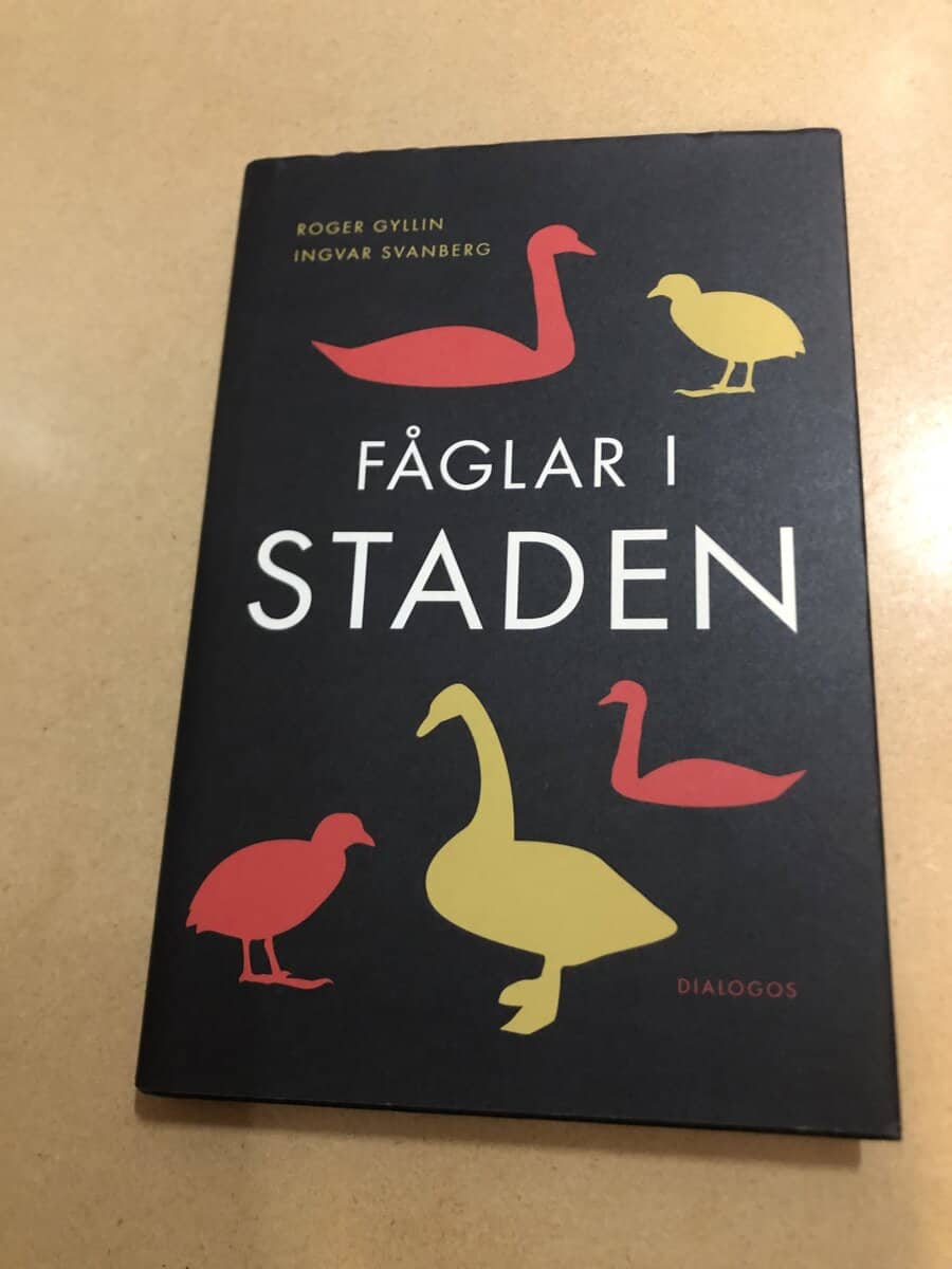 Gyllin, Roger, Svanberg, Ingvar : Fåglar i staden