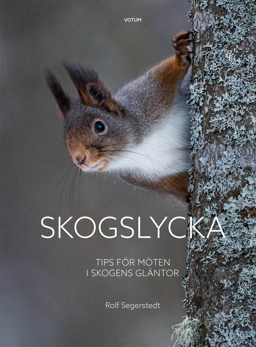 Rolf Segerstedt : Skogslycka : tips för möten i skogens gläntor