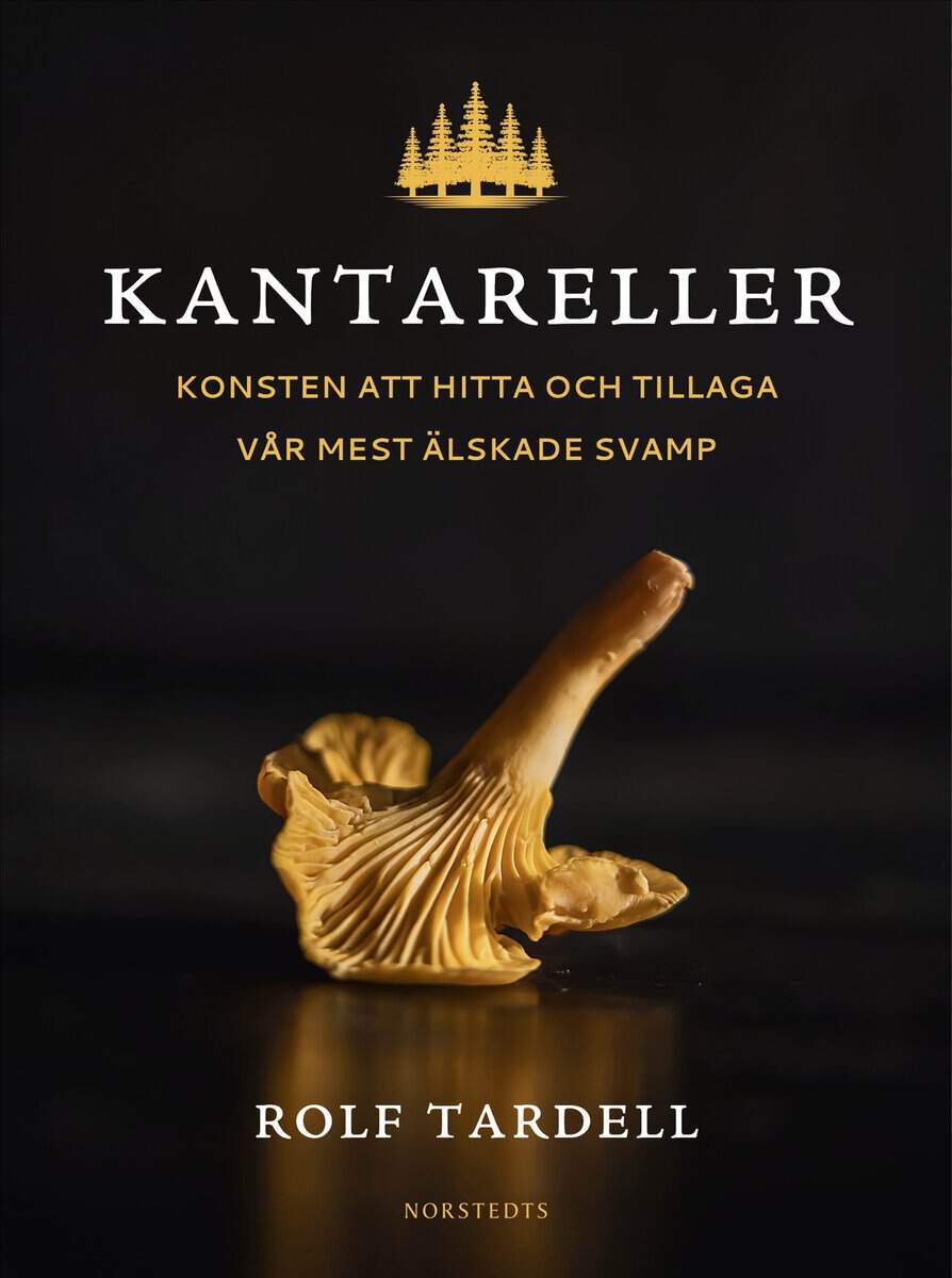 Rolf Tardell : Kantareller : Konsten att hitta och tillaga vår mest älskade svamp
