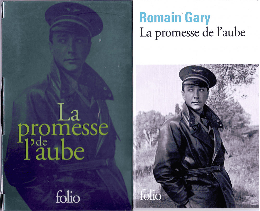 Romain Gary : La promesse de l'aube