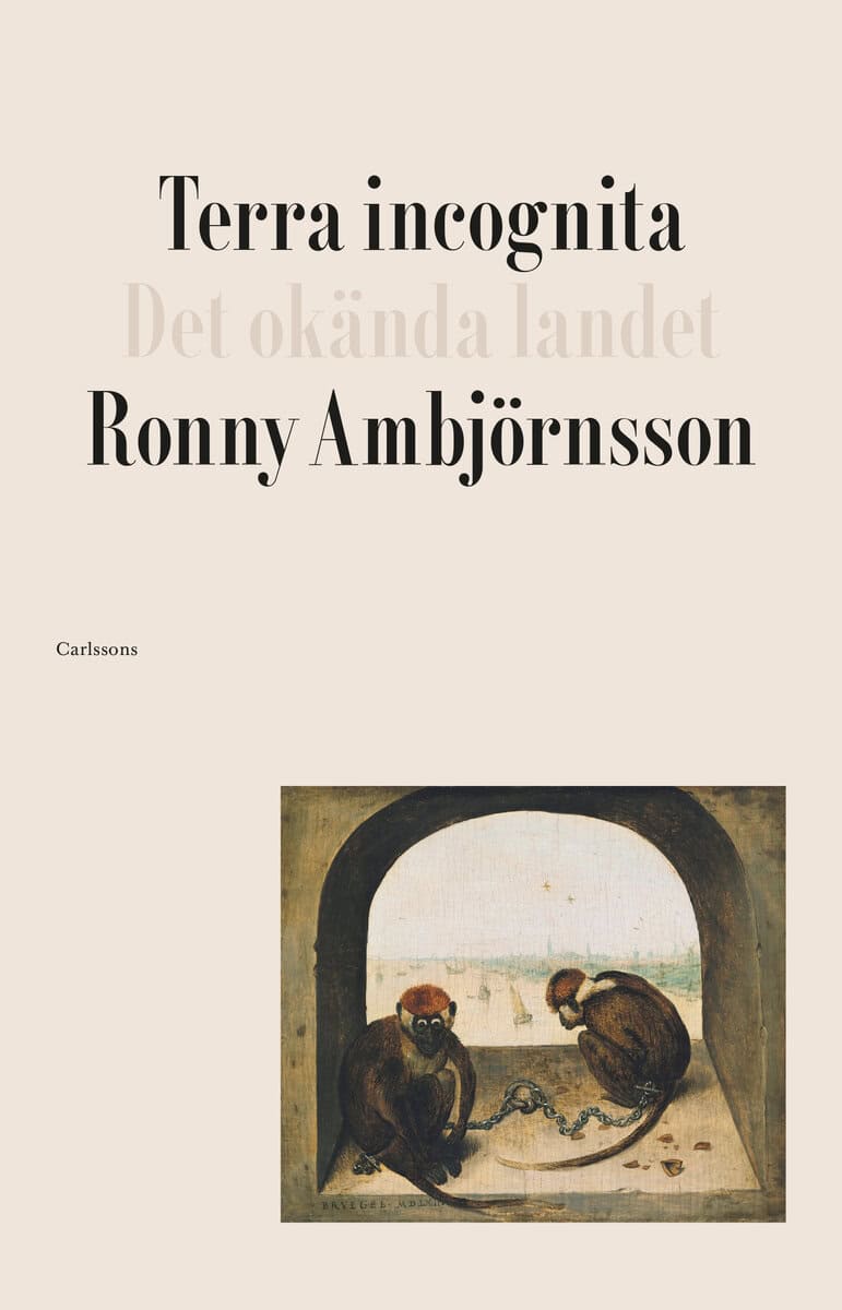 Ronny Ambjörnsson : Terra incognita : det okända landet