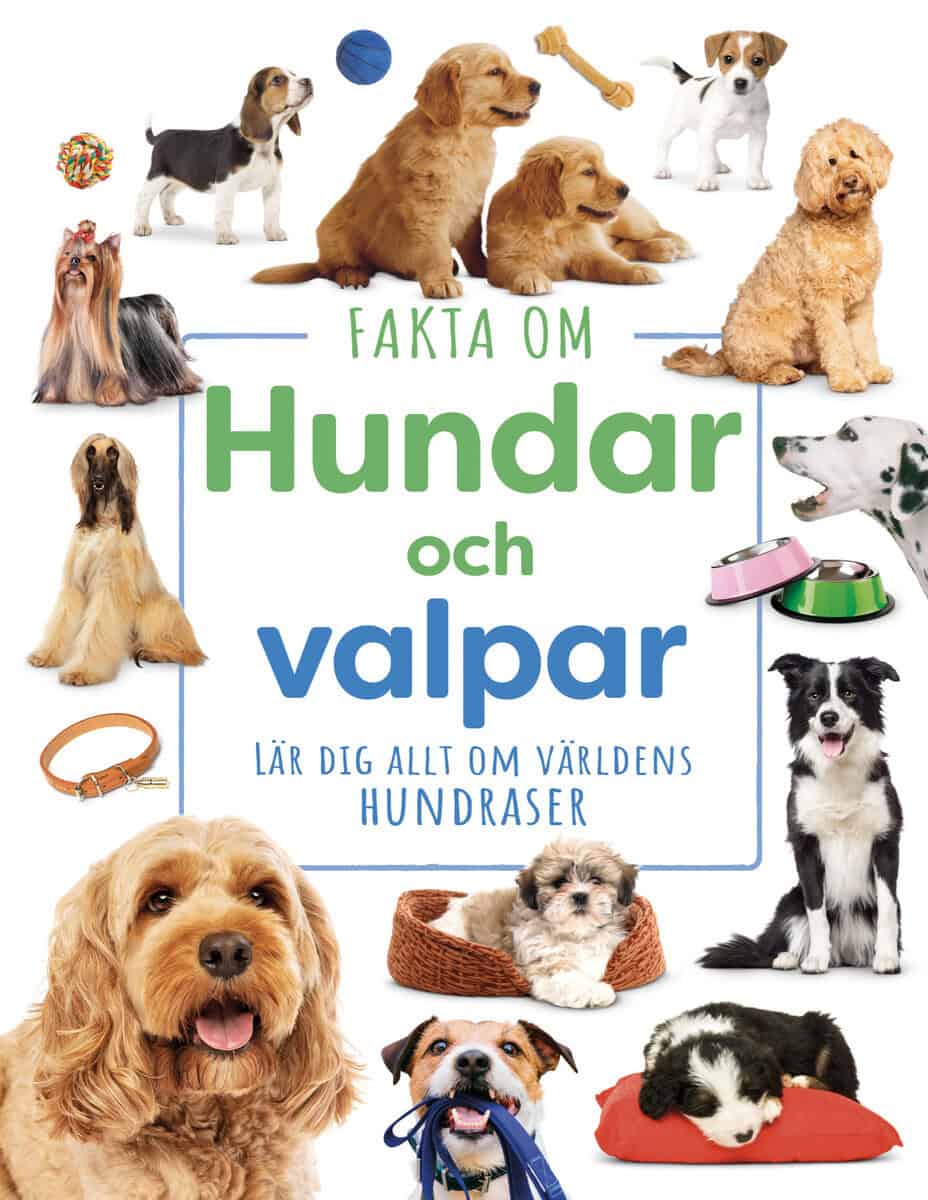Roohi Sehgal : Fakta om hundar och valpar