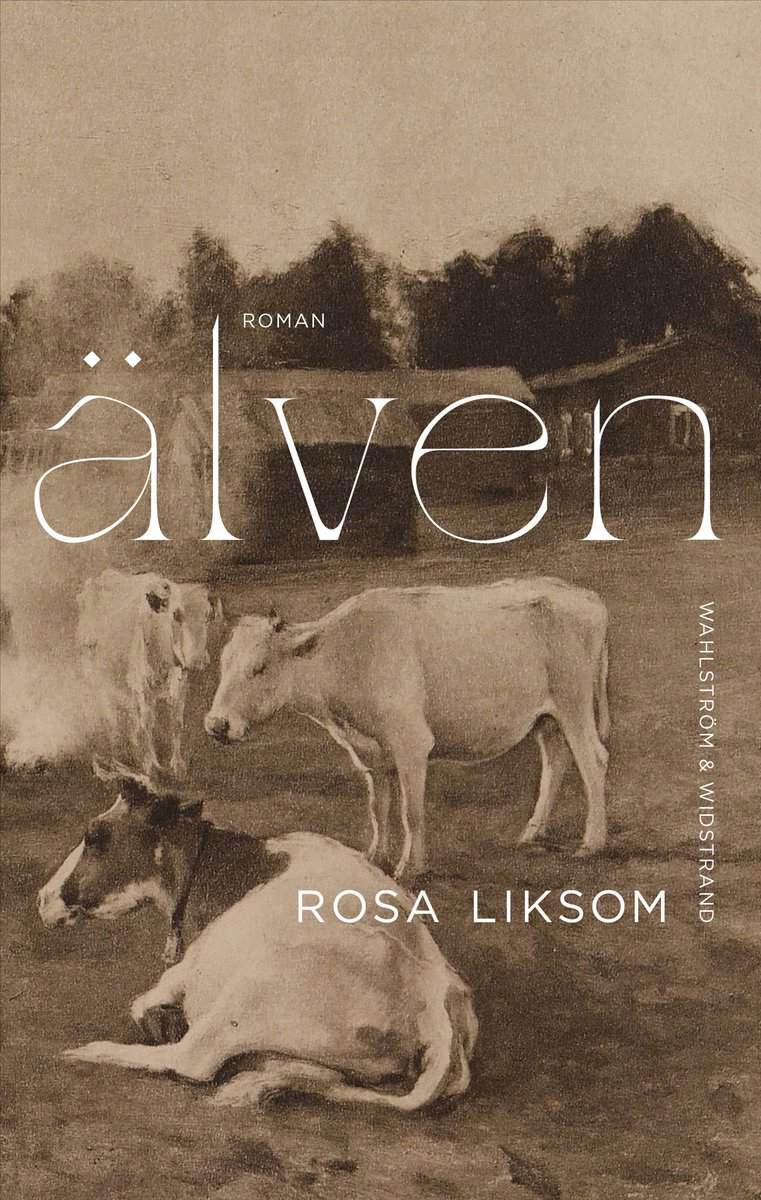 Rosa Liksom : Älven