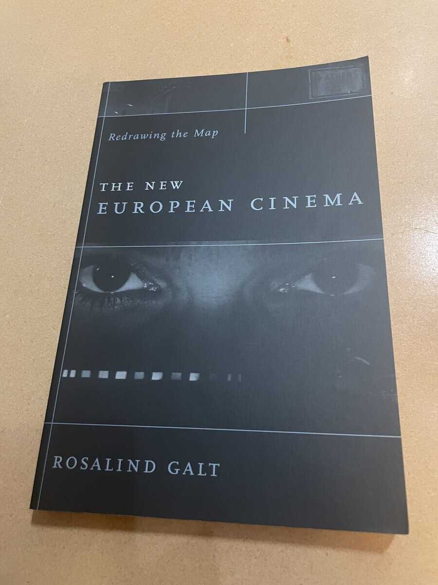 Rosalind Galt : The new European cinema - redrawing the map