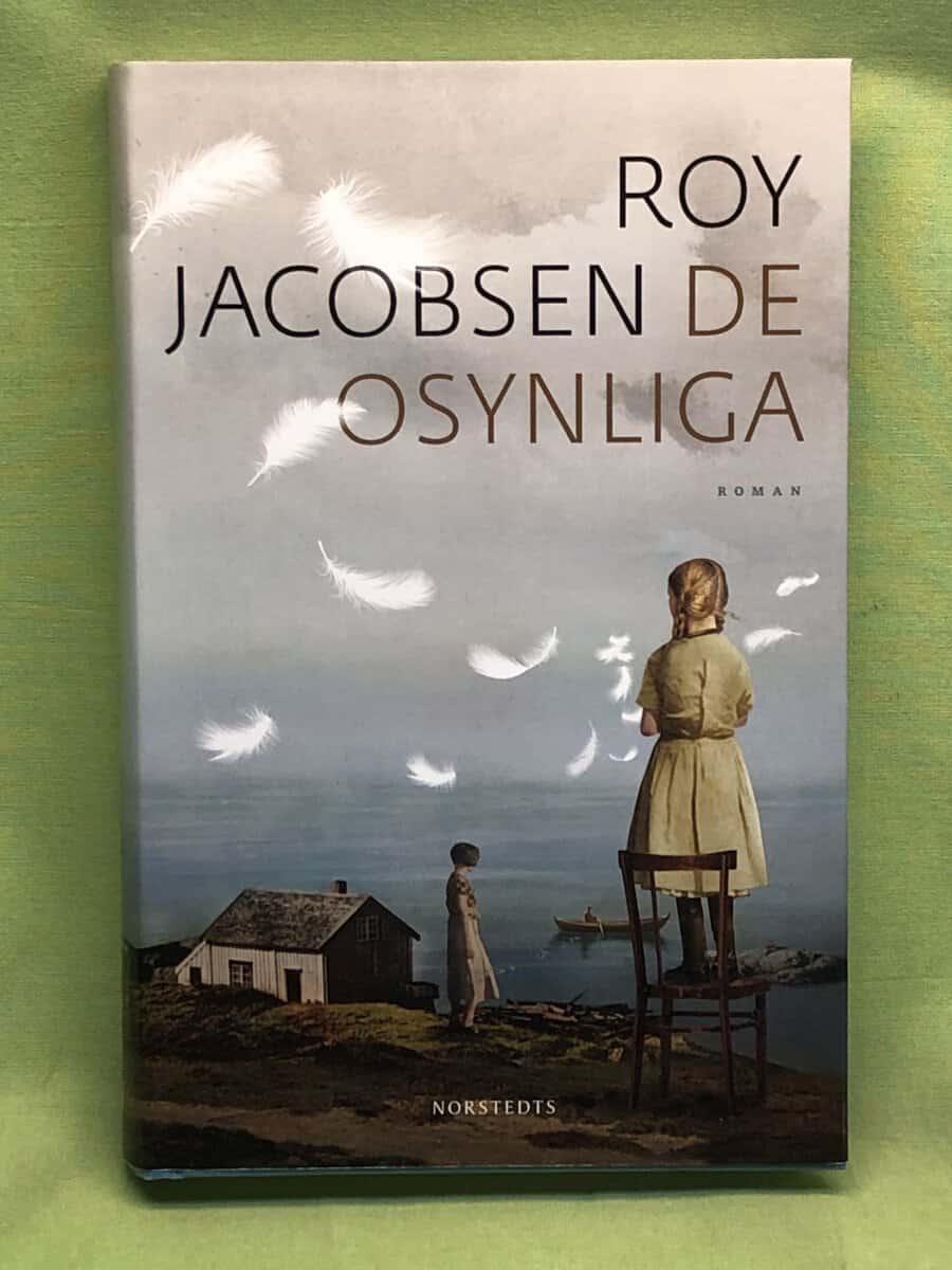 Roy Jacobsen : De osynliga