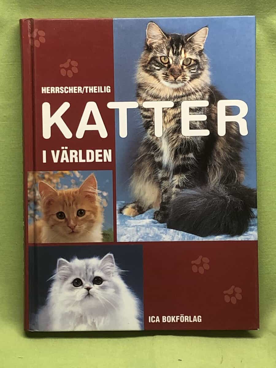 Rüdiger Herrscher : Katter i världen