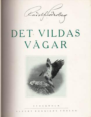 Rudolf Söderberg : Det vildas vägar