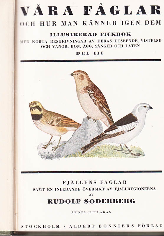 Rudolf Söderberg : Våra fåglar och hur man känner igen dem