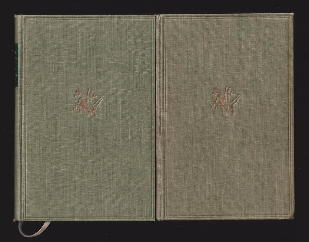 Rudolf Söderberg : Våra fåglar och hur man känner igen dem