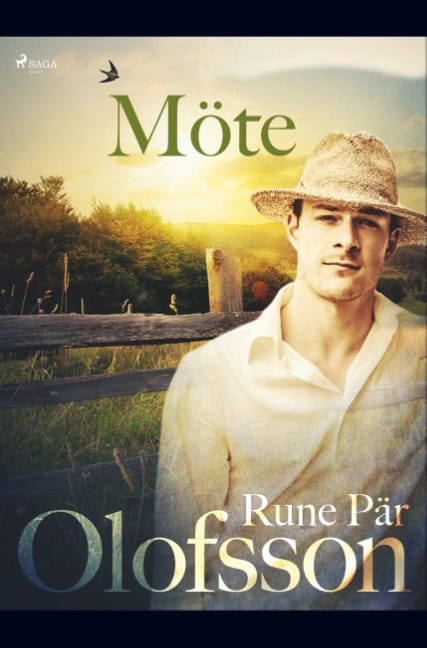 Rune Pär Olofsson : Möte