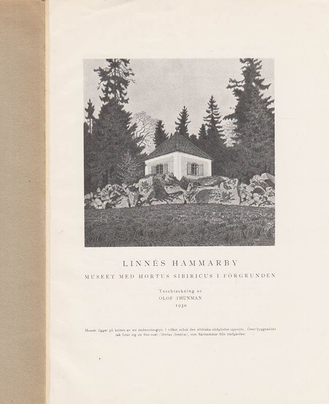 Rutger Sernander : Meddelanden från den linnéanska stiftelsen på Hammarby. III. Stiftelsens administration och allmänna utveckling 1930
