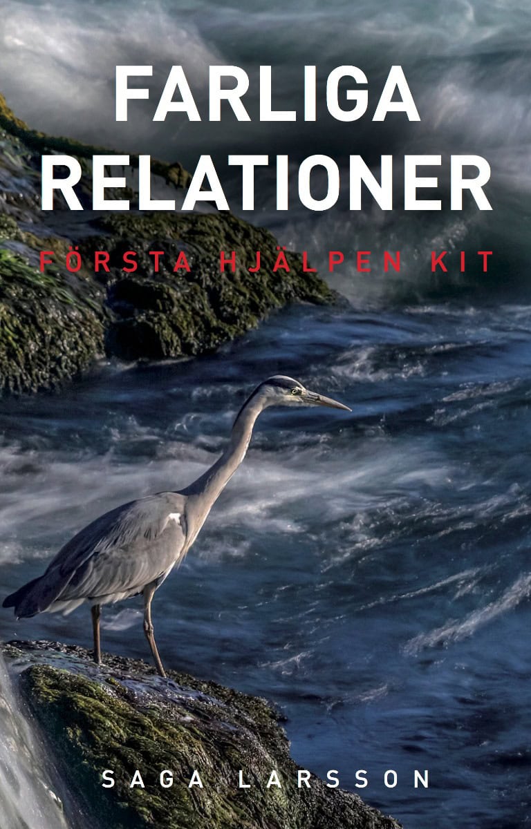 Saga Larsson : Första hjälpen kit : farliga relationer