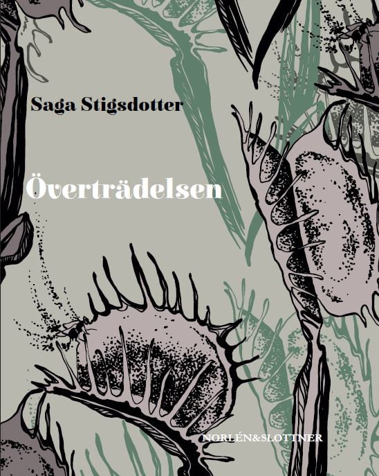 Saga Stigsdotter : Överträdelsen