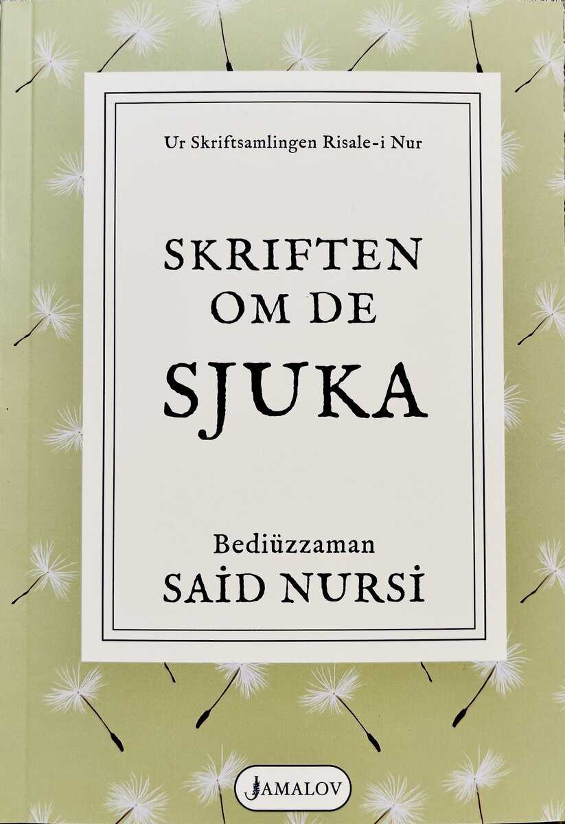Said Nursi : Skriftsamlingen Risale-i Nur
