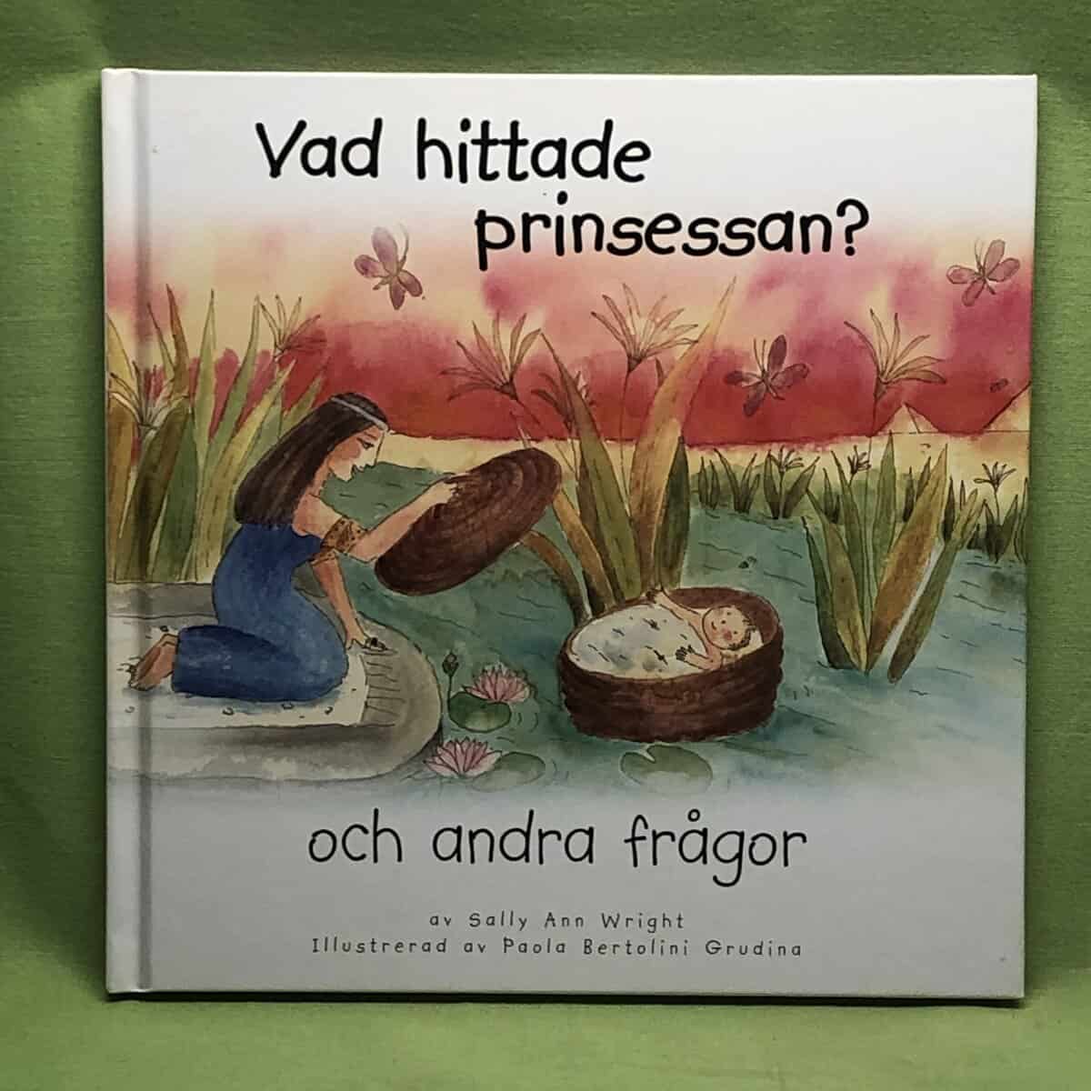 Sally Ann Wright : Vad hittade prinsessan?