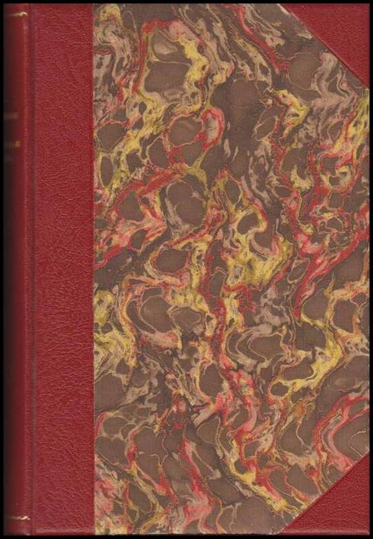 Sally Salminen : Den långa våren