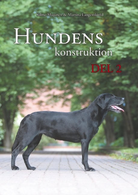 Salme Mujunen : Hundens konstruktion, del 2