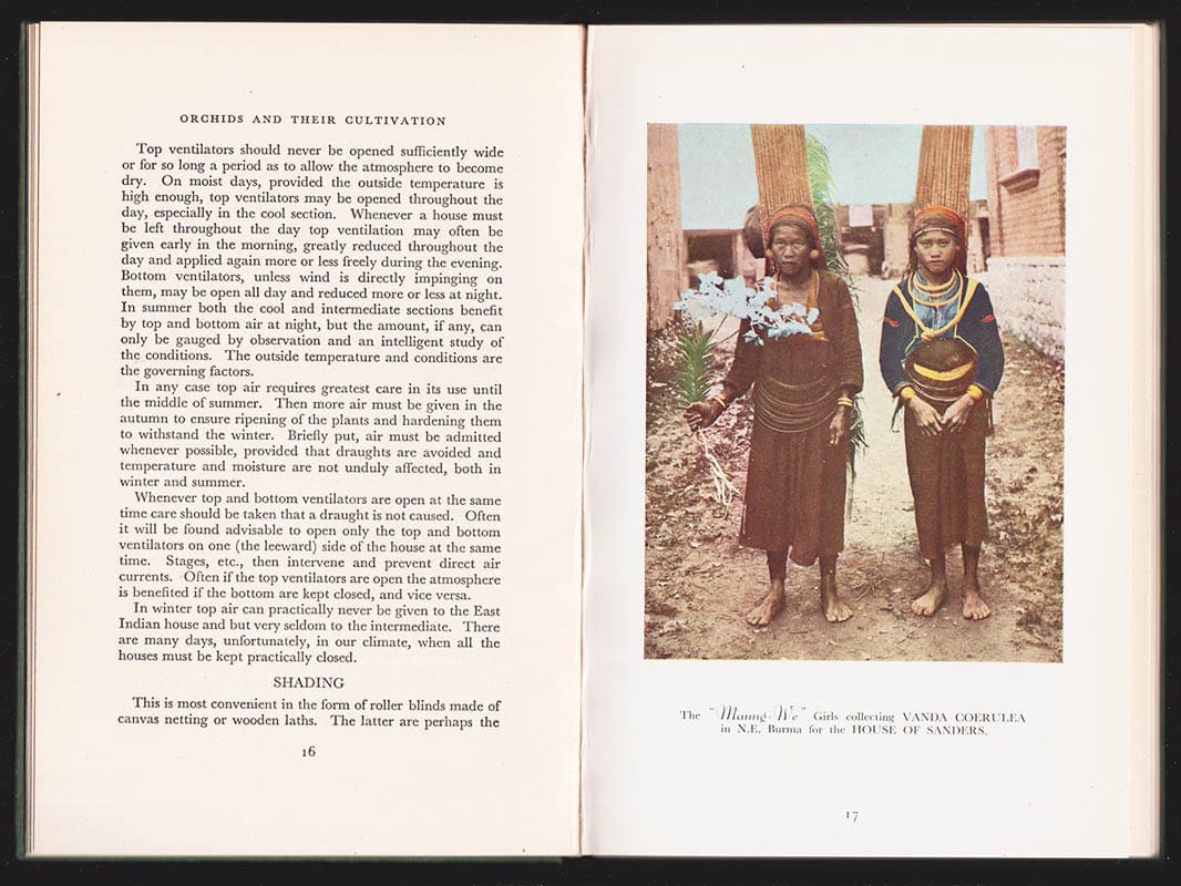 Sander, David ; Cooper, E. : Orchids and Their Cultivation