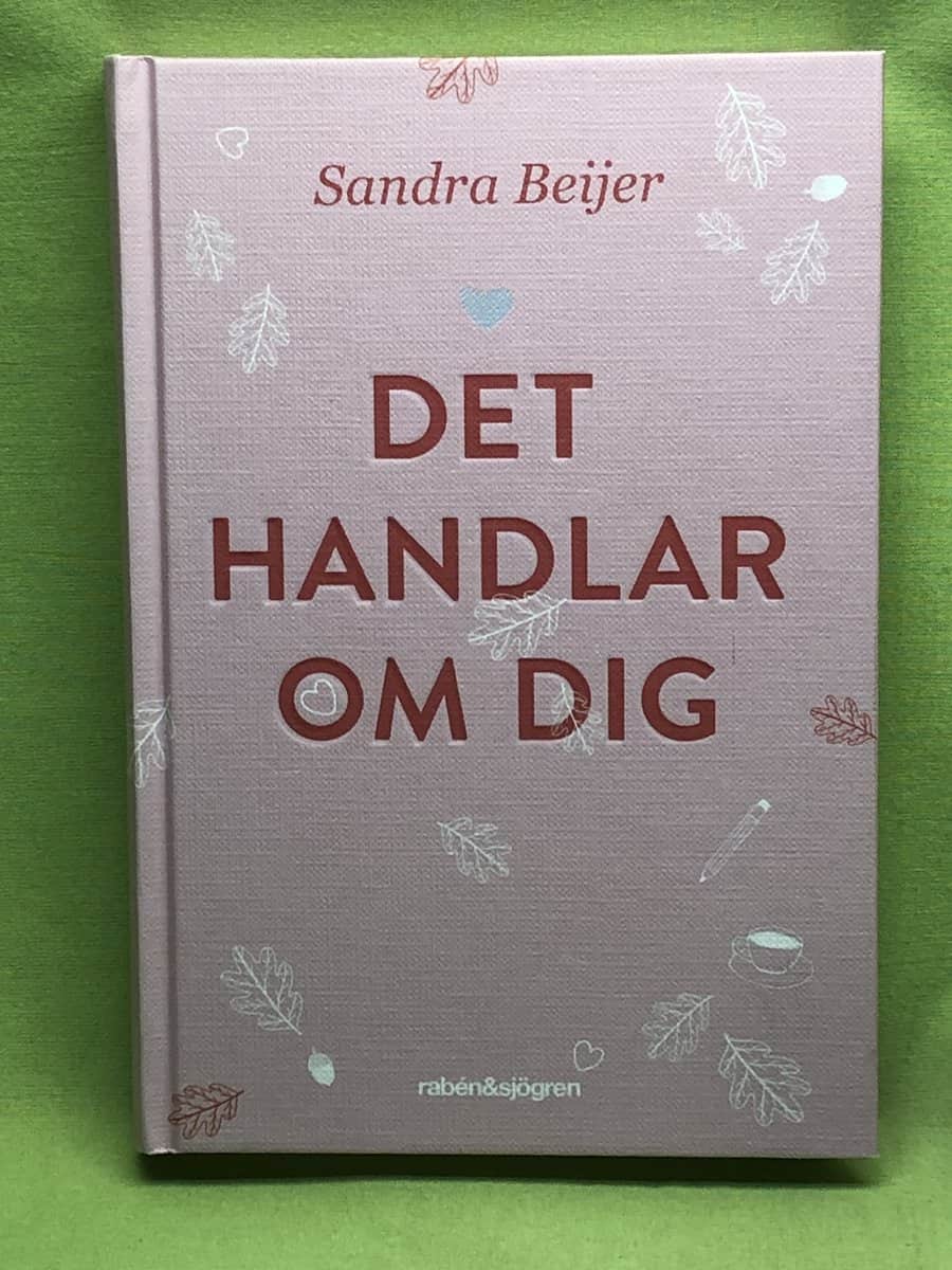Sandra Beijer : Det handlar om dig