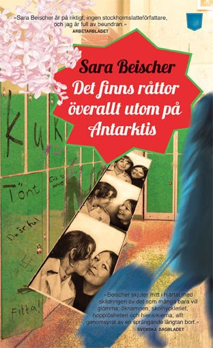 Sara Beischer : Det finns råttor överallt utom på Antarktis