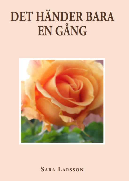 Sara Larsson : Det händer bara en gång