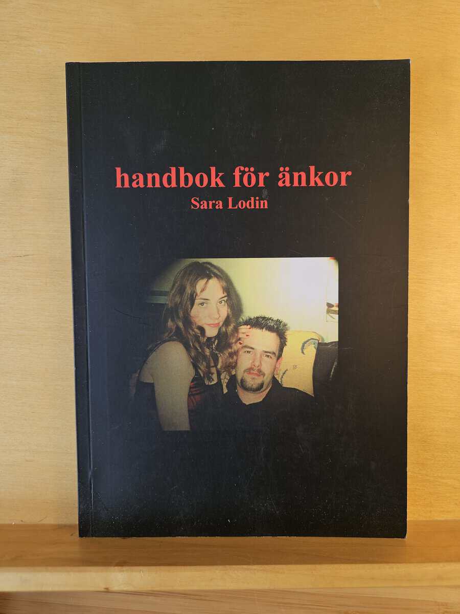 Sara Lodin : Handbok för änkor