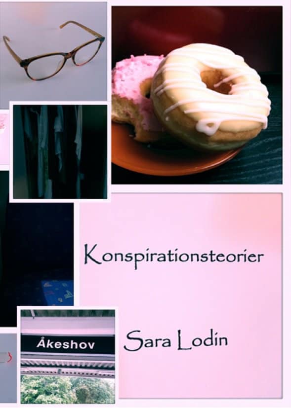 Sara Lodin : Konspirationsteorier