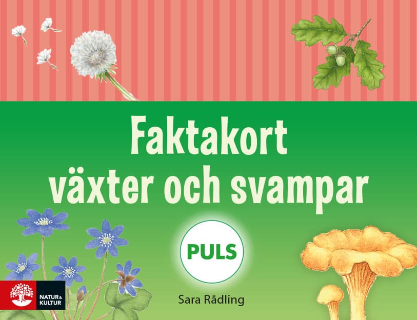 Sara Rådling : PULS Faktakort växter och svampar