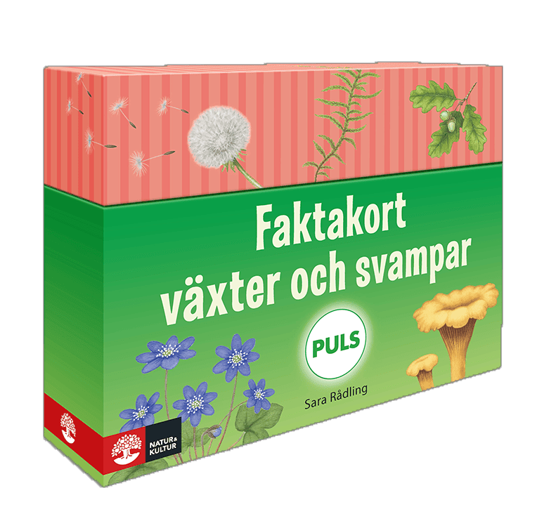 Sara Rådling : PULS Faktakort växter och svampar