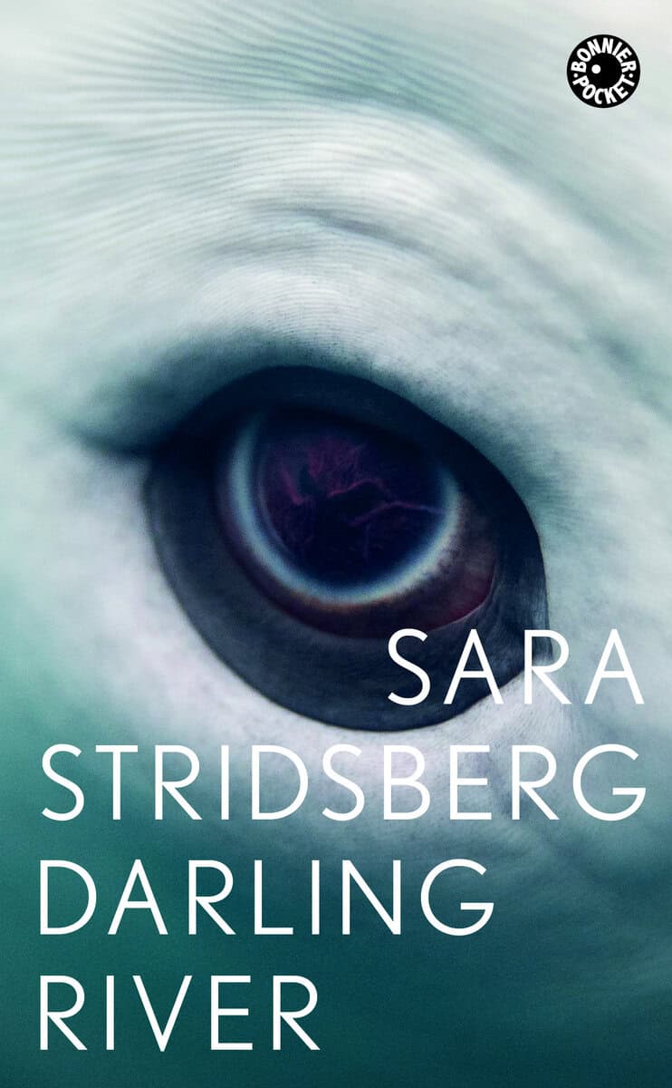 Sara Stridsberg : Darling River