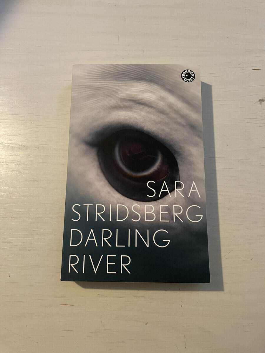 Sara Stridsberg : Darling River