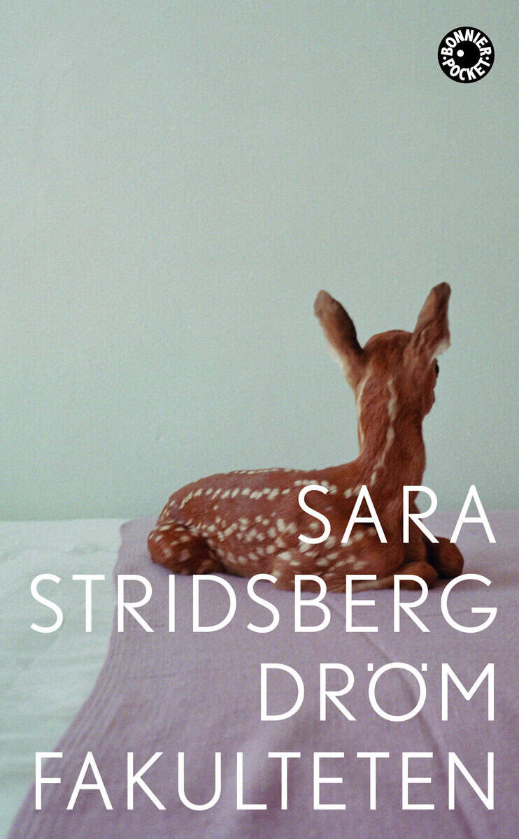 Sara Stridsberg : Drömfakulteten