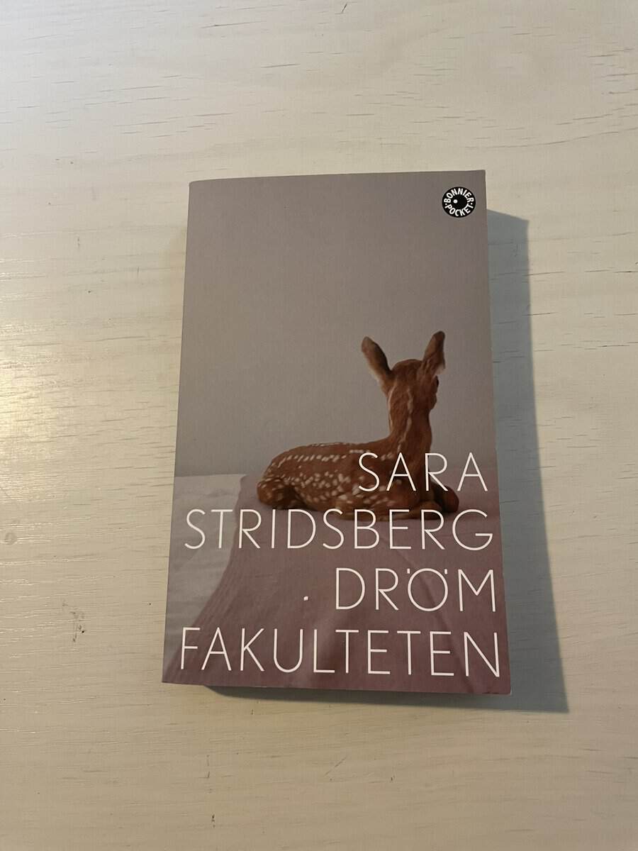 Sara Stridsberg : Drömfakulteten