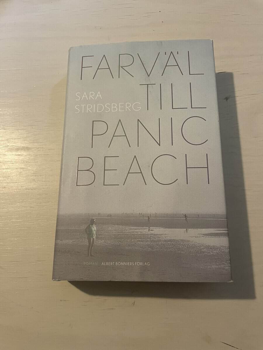 Sara Stridsberg : Farväl till Panic Beach