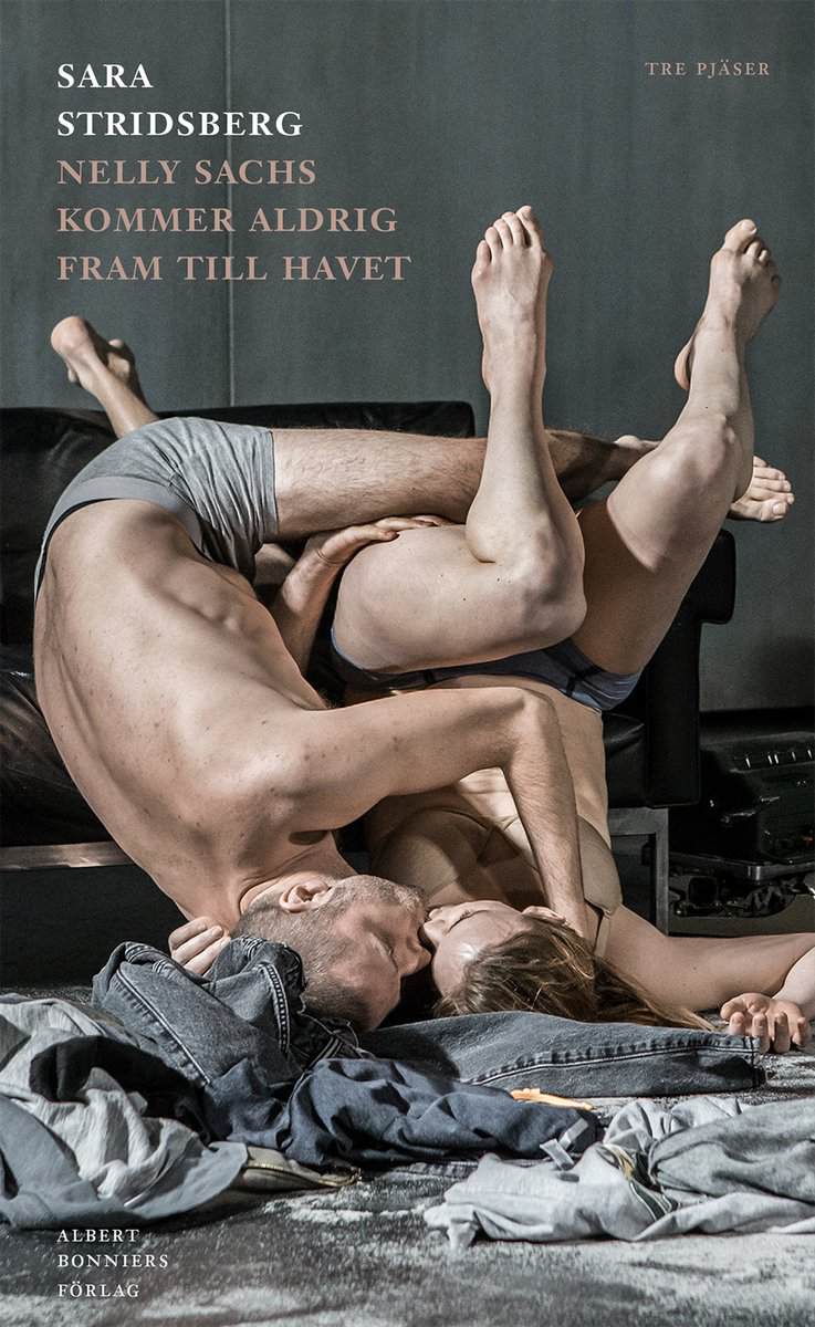 Sara Stridsberg : Nelly Sachs kommer aldrig fram till havet