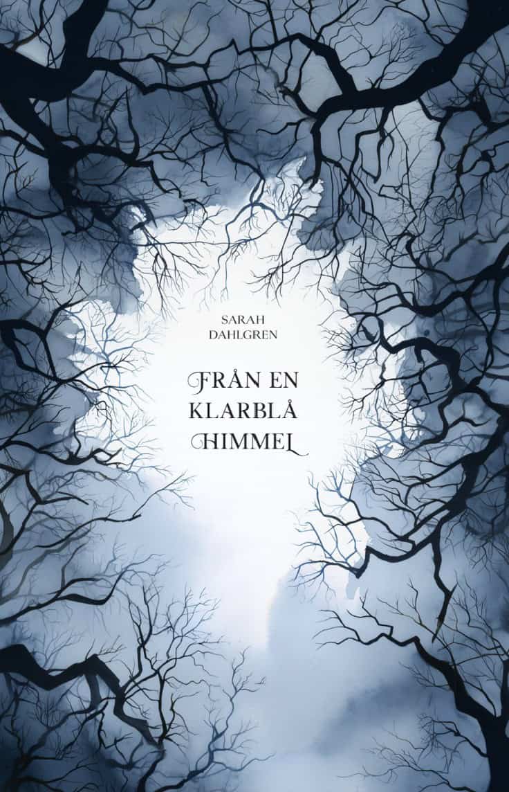 Sarah Dahlgren : Från en klarblå himmel
