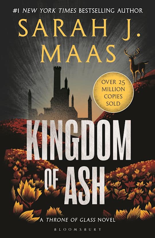 Sarah J. Maas : Kingdom of ash
