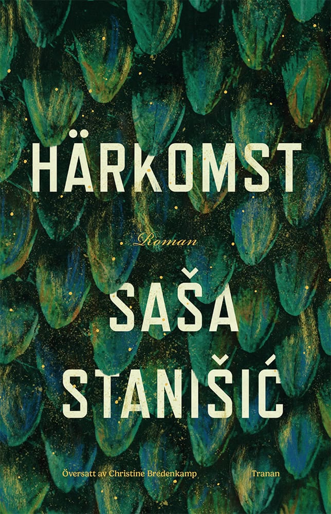 Sasa Stanisic : Härkomst