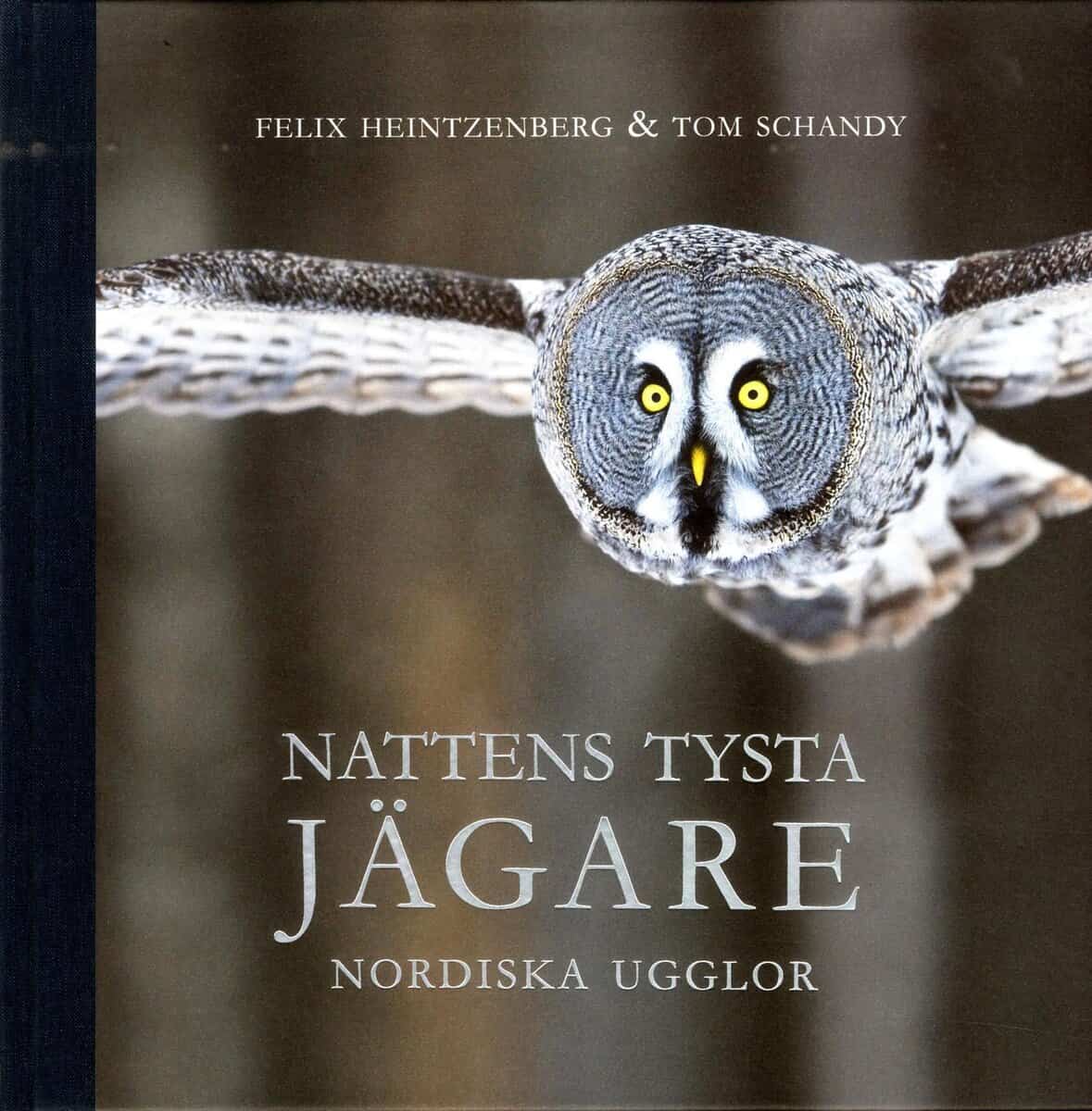Schandy, Tom ; Heintzenberg, Felix : Nattens tysta jägare