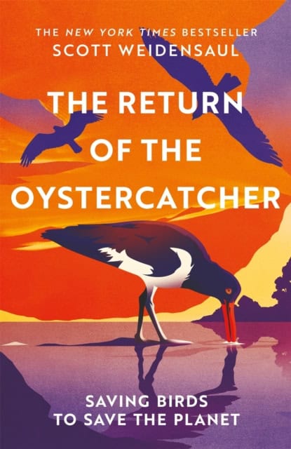 Weidensaul, Scott | THE RETURN OF THE OYSTERCATCHER