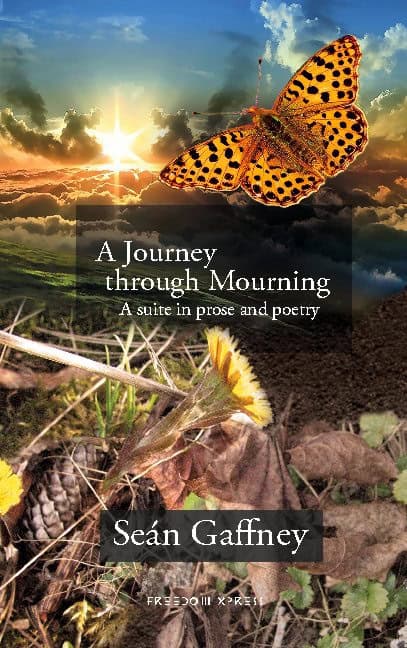Seán Gaffney : A journey through mourning